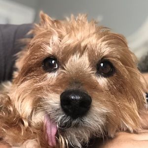 Meet your Posher, Kathryn